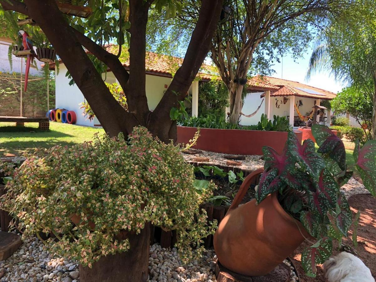 Tia Nena Inn